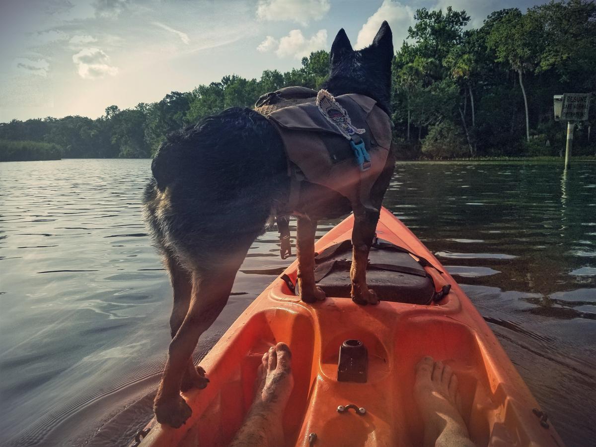 Chassahowitzka River Boat Launch