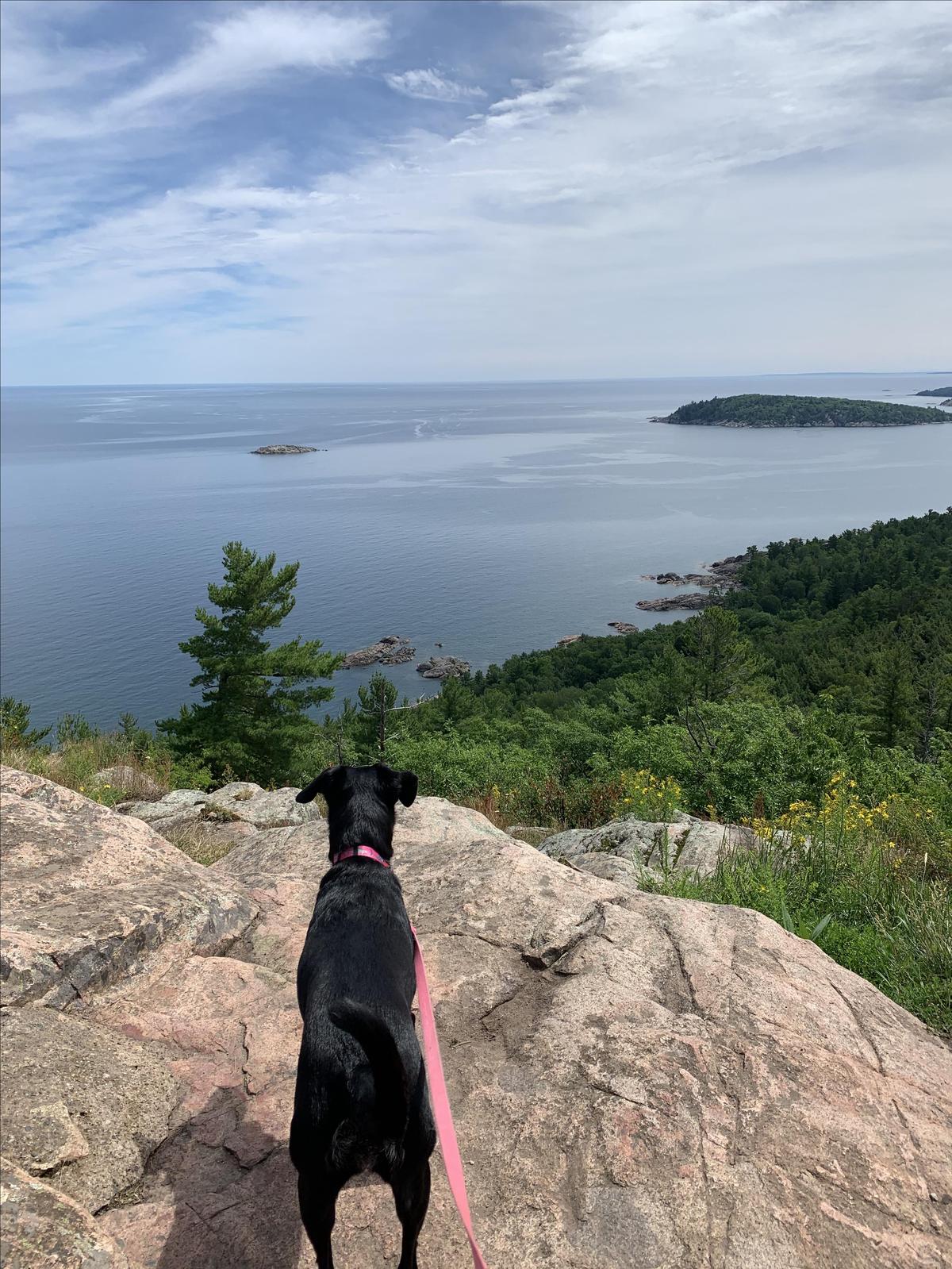 se permiten perros en sugarloaf marquette mi