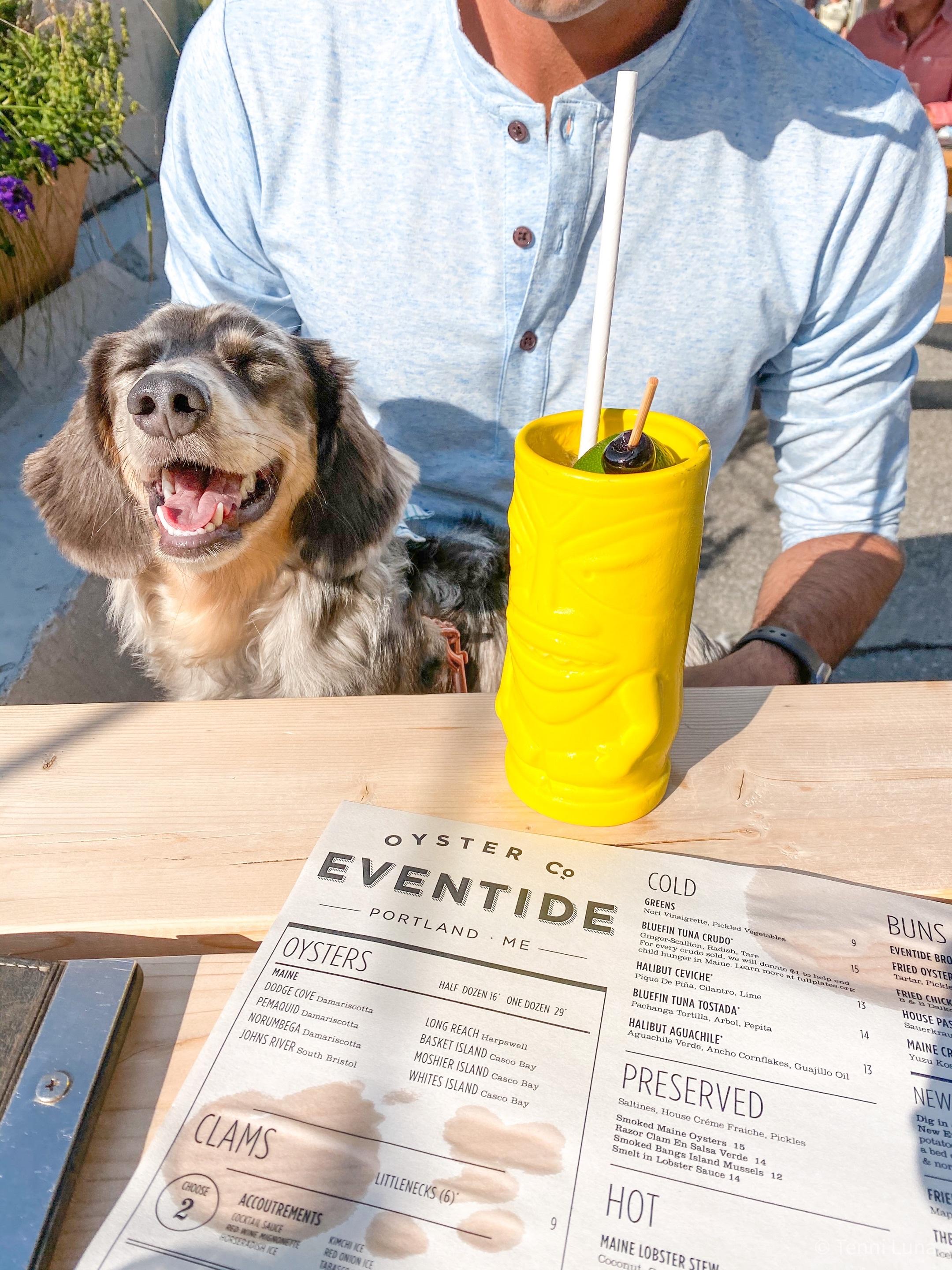 Pet Friendly Eventide Oyster Co.