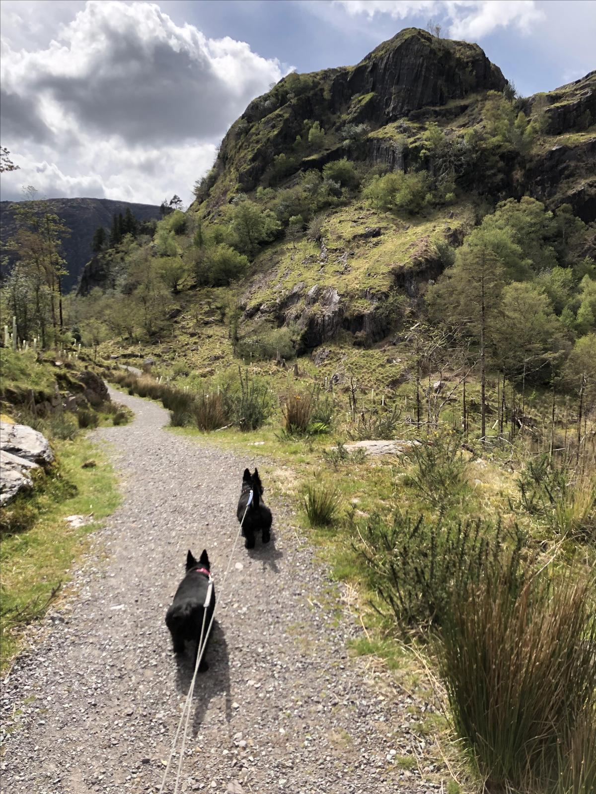 Gougane Barra National Forest Park