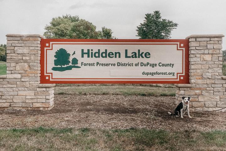 Pet Friendly Hidden Lake Forest Preserve
