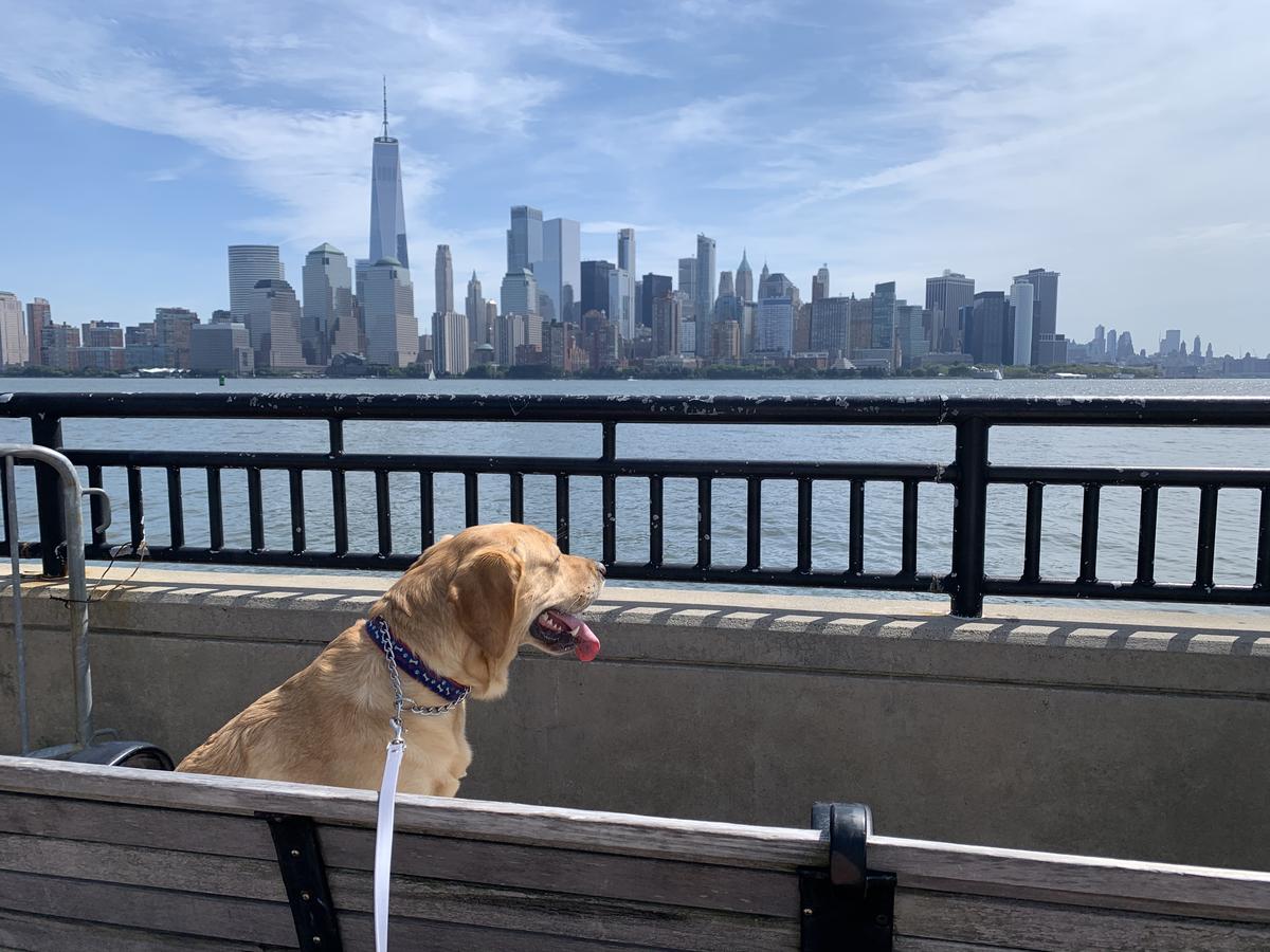 are dogs allowed at liberty state park