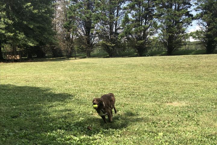 Off-Leash Dog Parks in Oak Ridge, TN - BringFido