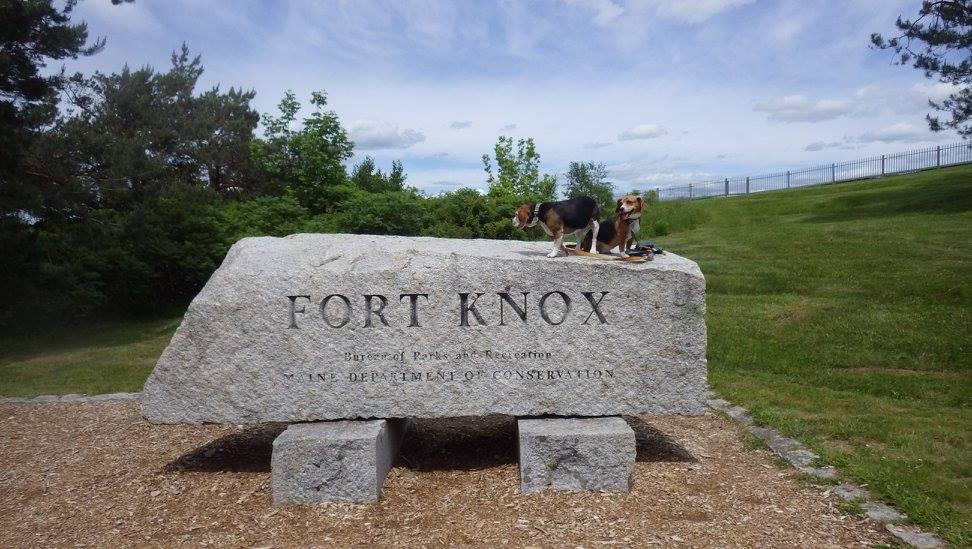 Pet Friendly Fort Knox and Penobscot Narrows Observatory