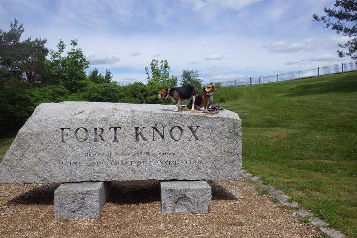 Pet Friendly Fort Knox and Penobscot Narrows Observatory
