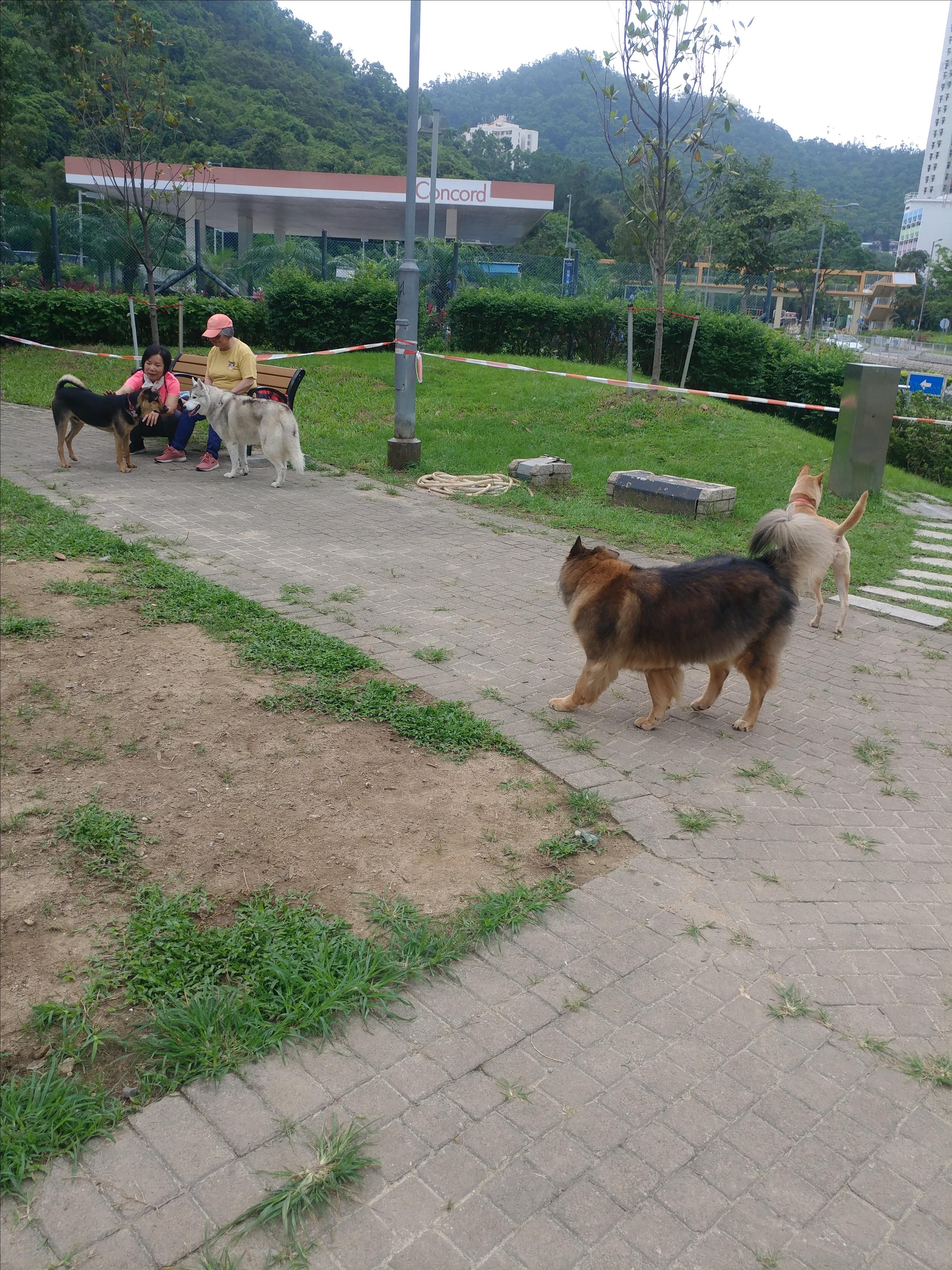Pet Friendly Po Lam Sitting-Out Area