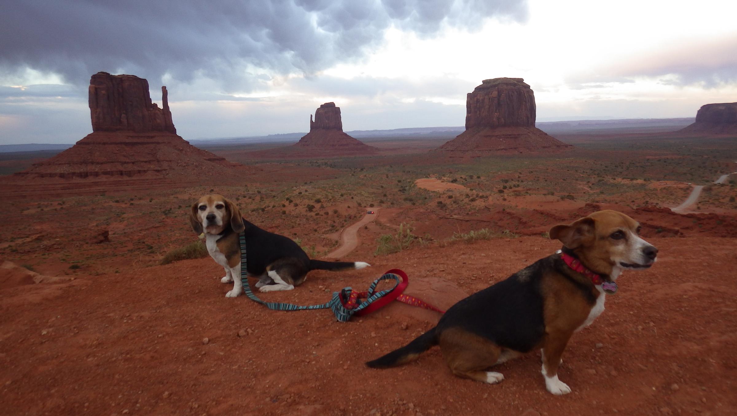 Pet Friendly Monument Valley Navajo Tribal Park