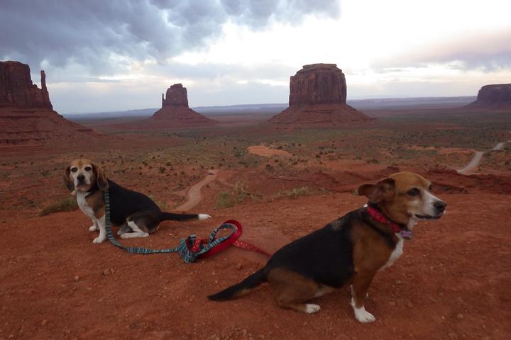 Pet Friendly Monument Valley Navajo Tribal Park