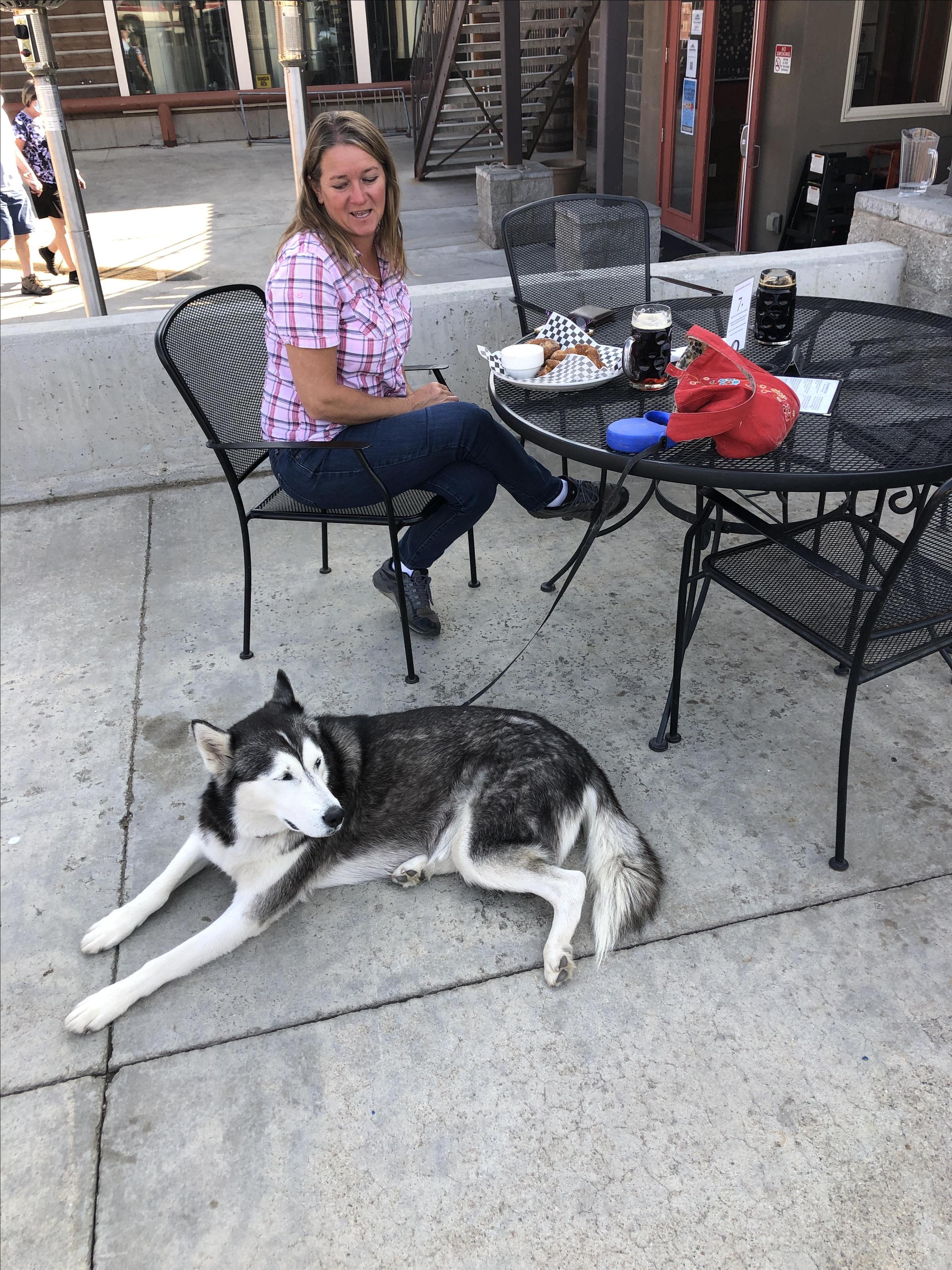 Pet Friendly Wind River Brewing Company