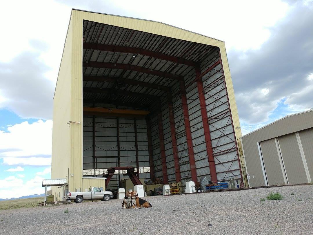 Pet Friendly Very Large Array