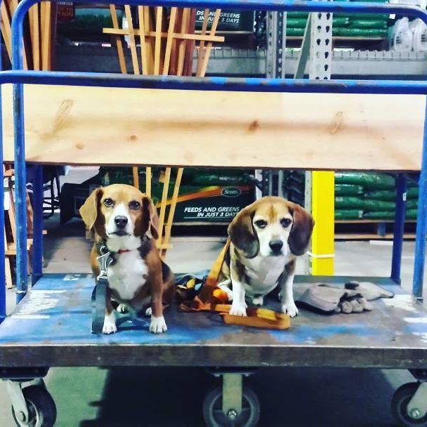 Lowe's Home Improvement