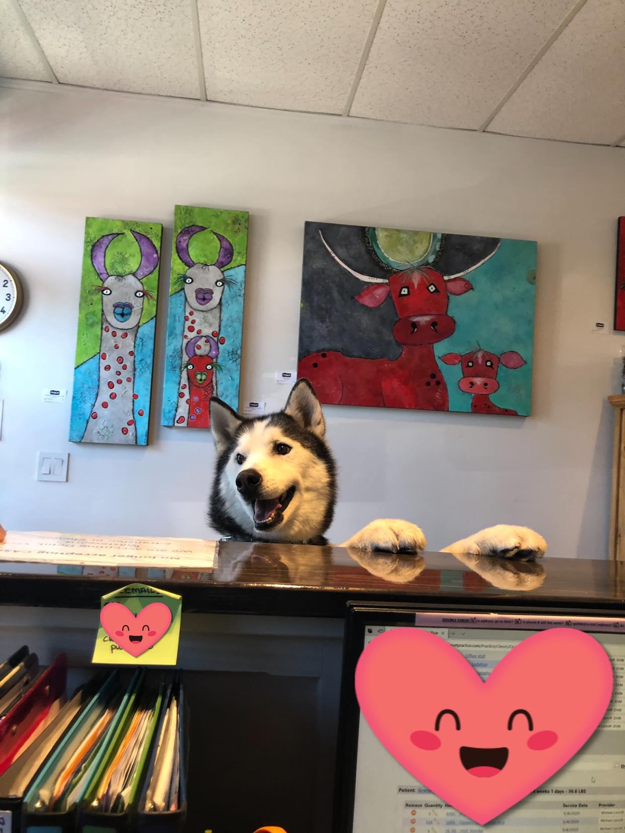 Pet Friendly Pawsitive Veterinary Care