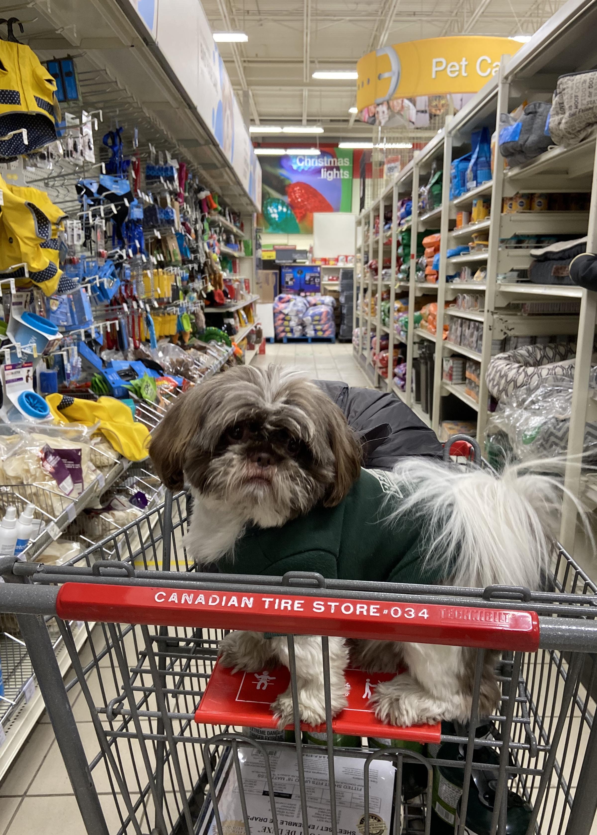 Pet Friendly Canadian Tire