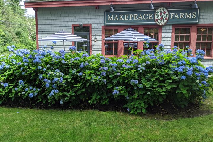 Pet Friendly Makepeace Farms