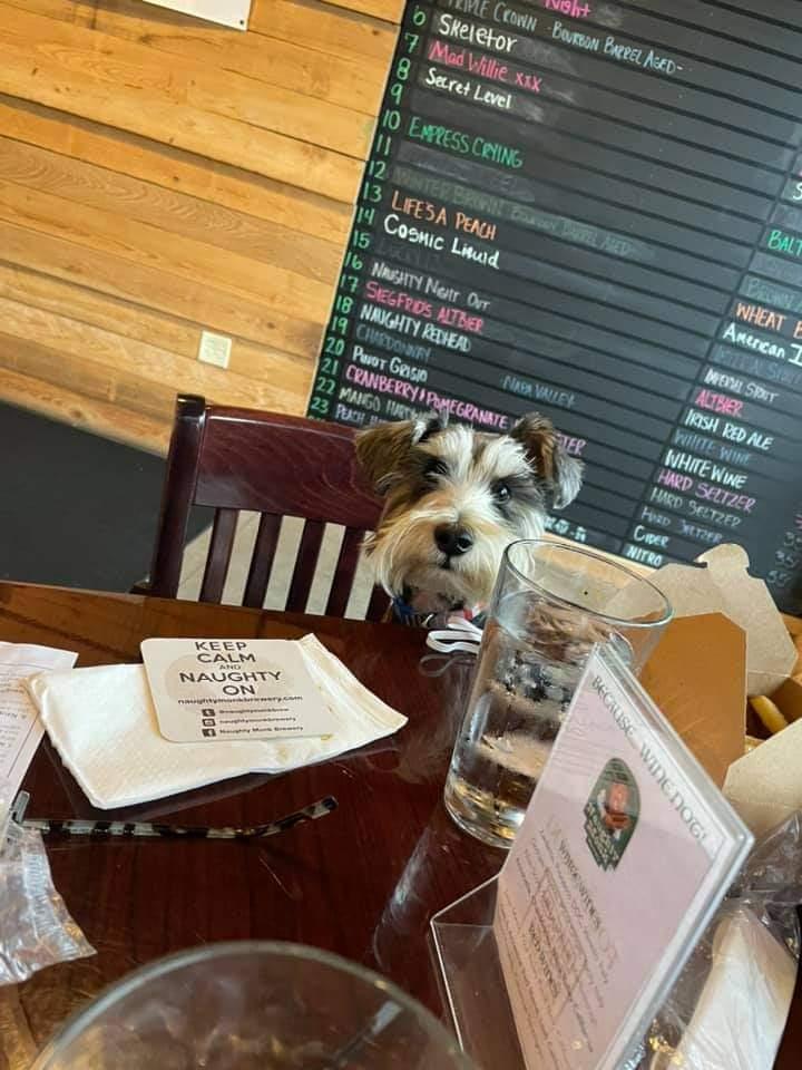 Naughty Monk Brewery Is Pet Friendly