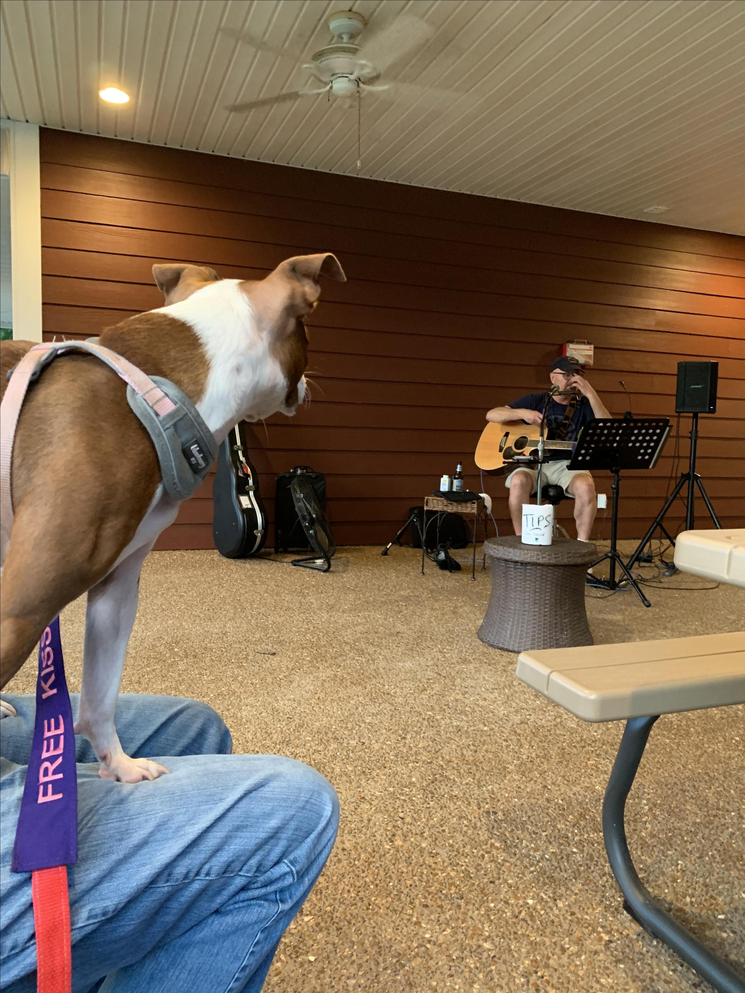 Pet Friendly Grand Ole RV Resort