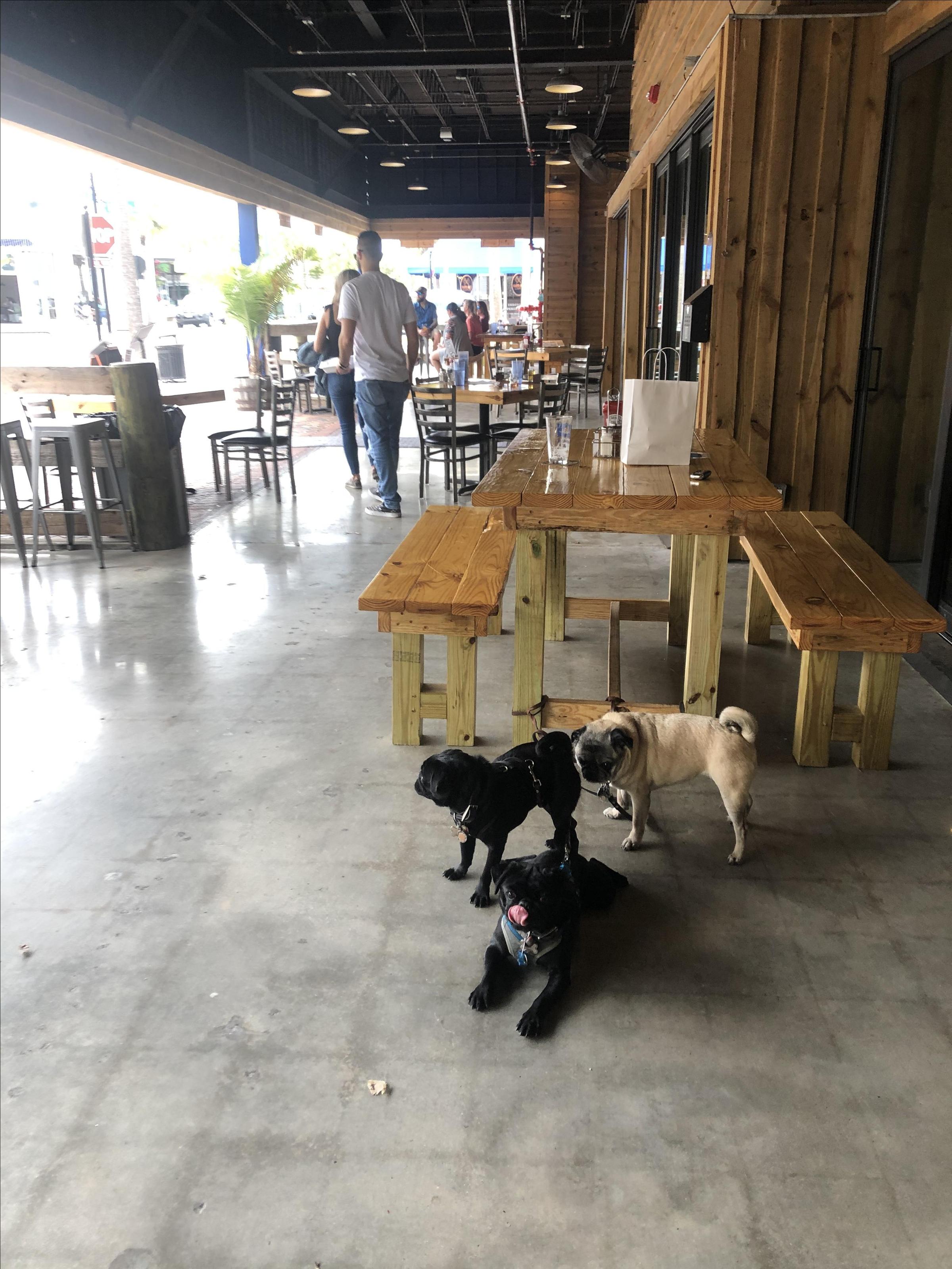 Sailfish Brewing Company