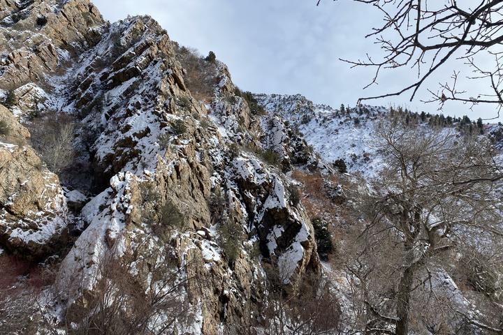 Taylorsville Walking Trails