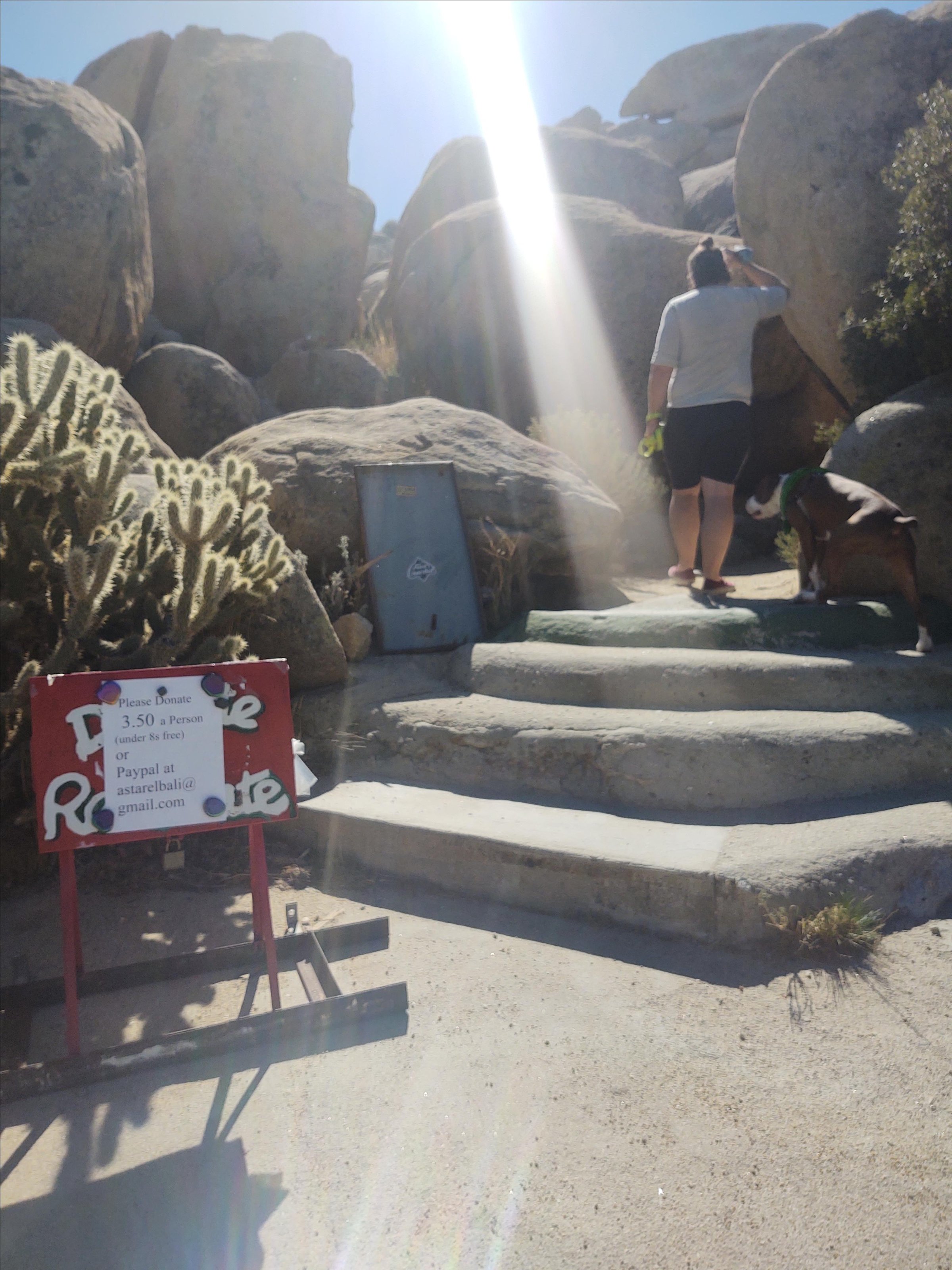 Pet Friendly Desert View Tower