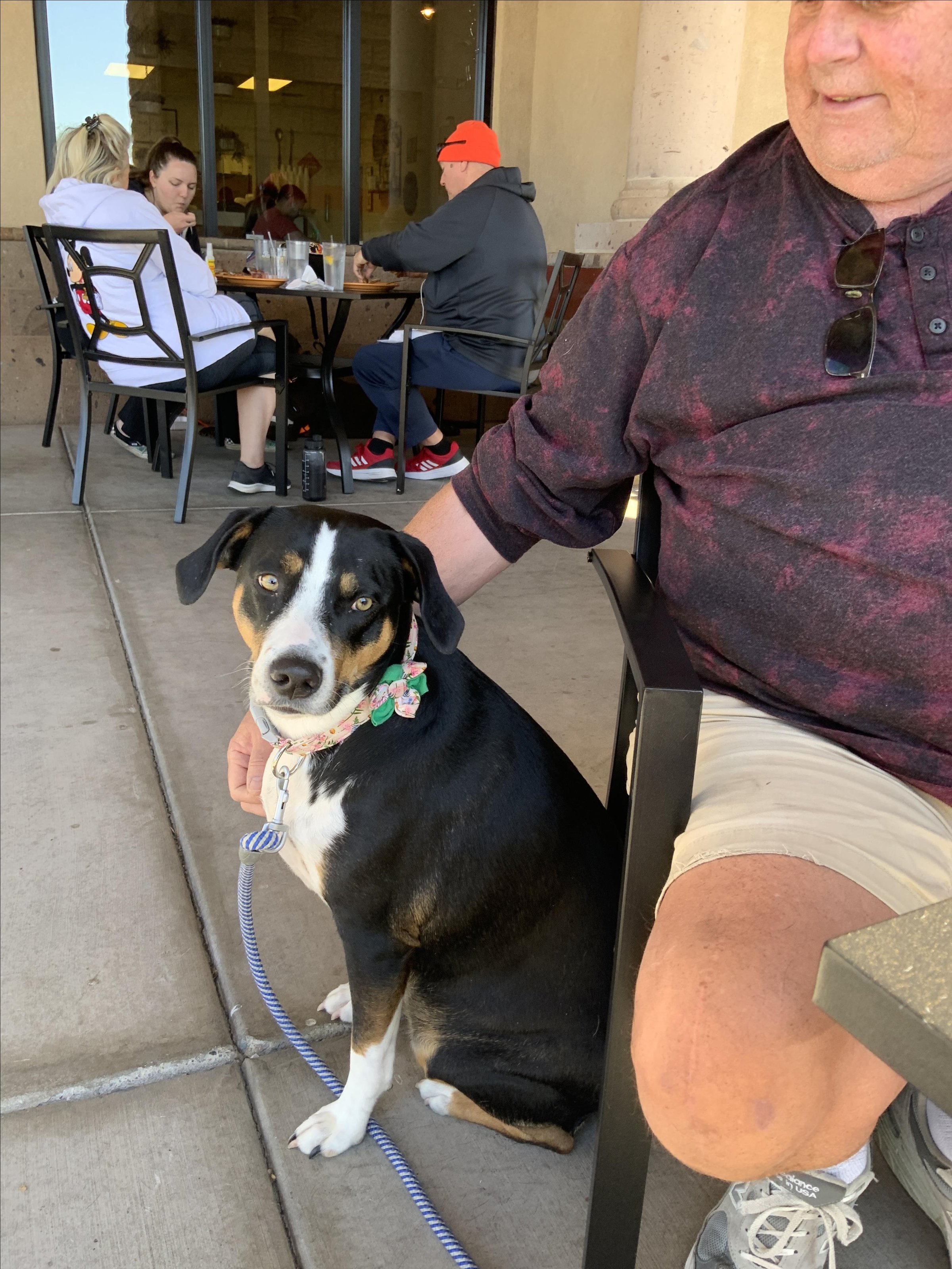 Pet Friendly Henhouse Cafe Guadalupe