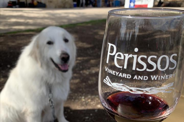 Pet Friendly Perissos Vineyard and Winery