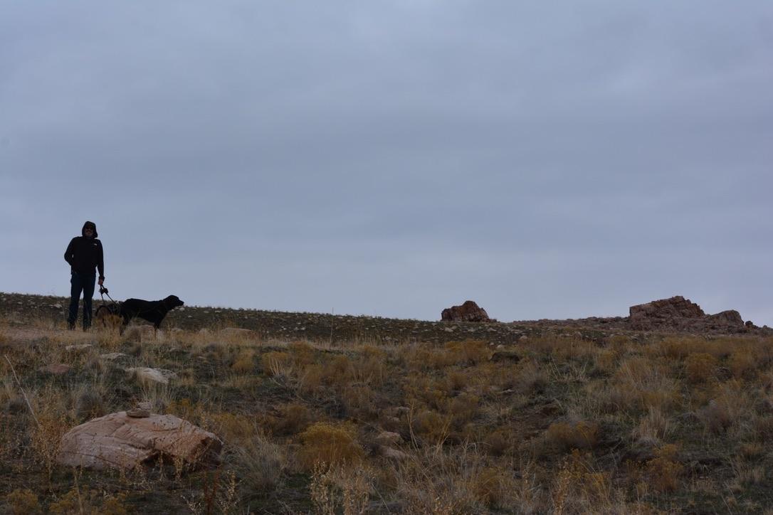 are dogs allowed on antelope island