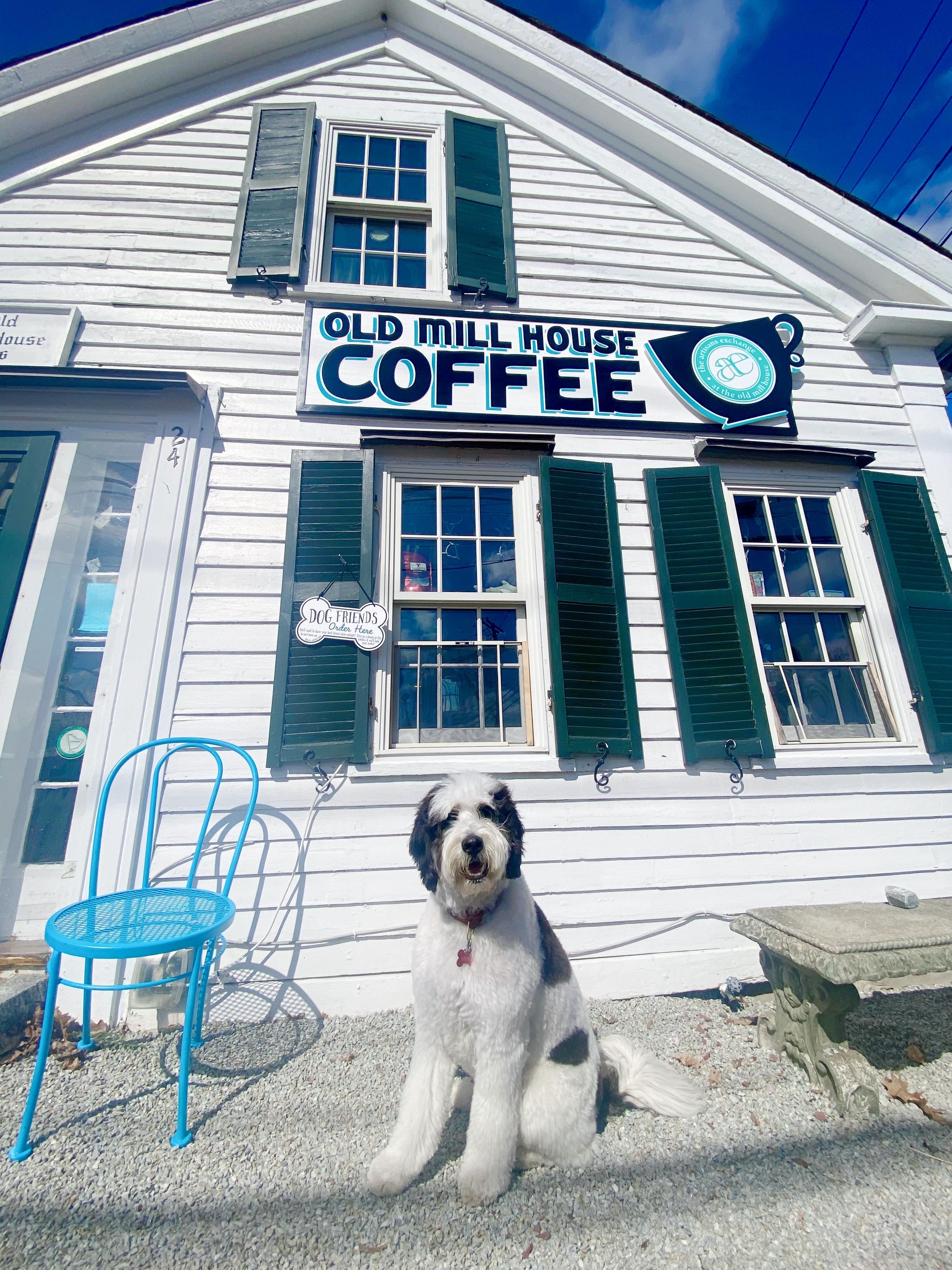 Pet Friendly Old Mill House Coffee & the Artisans Exchange