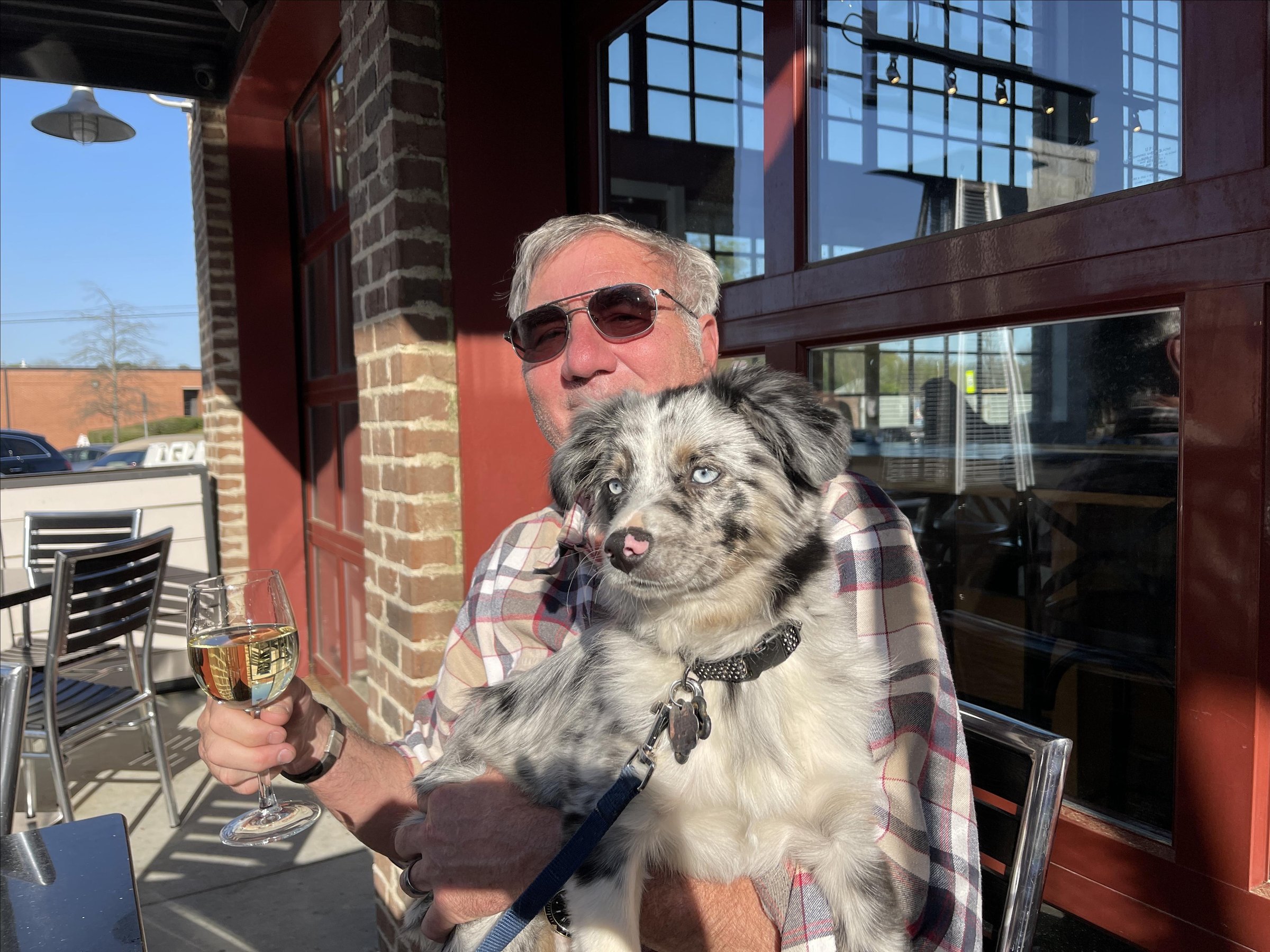 Pet Friendly Local on North - Duluth