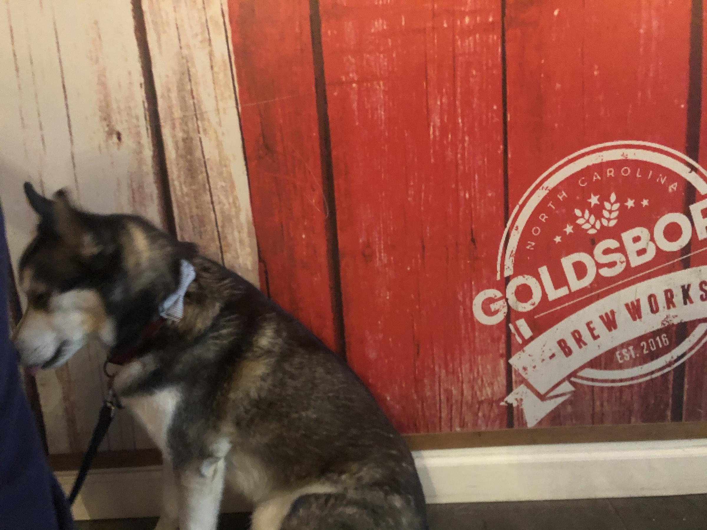 Pet Friendly Goldsboro Brew Works