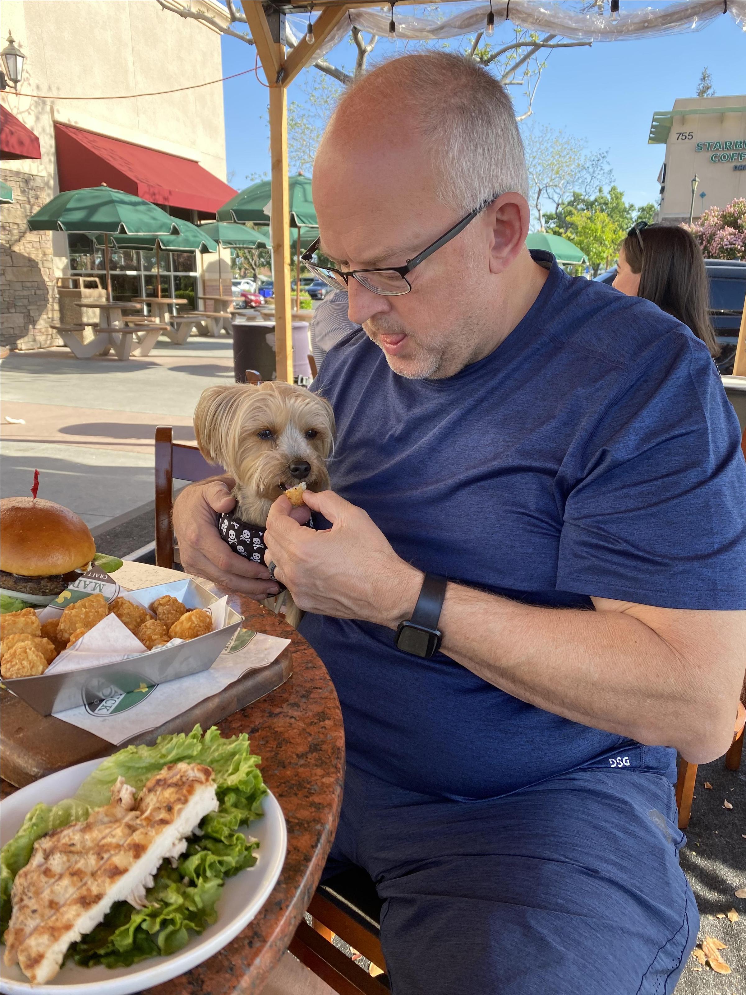 Pet Friendly The Mad Duck