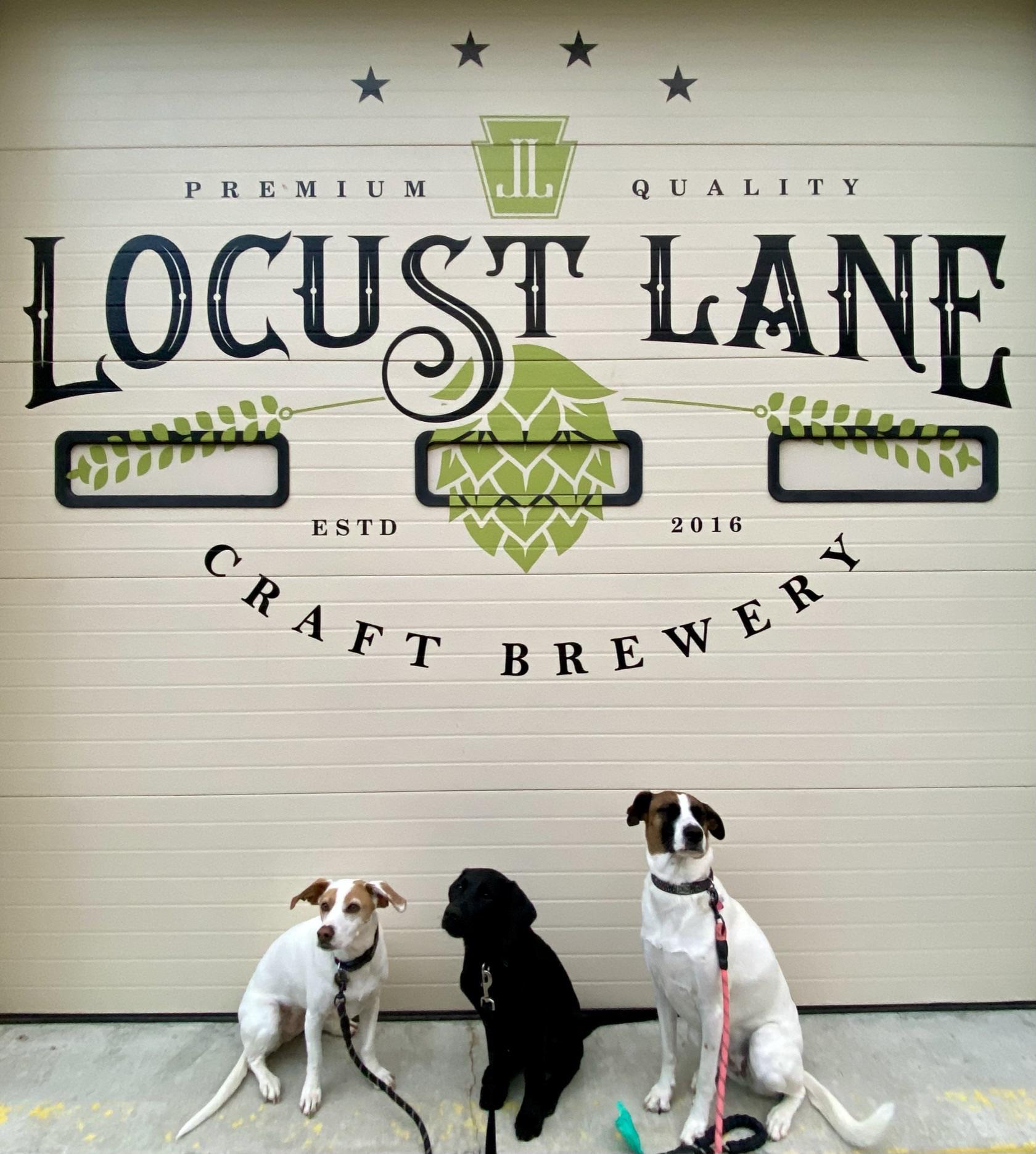 Pet Friendly Locust Lane Craft Brewery