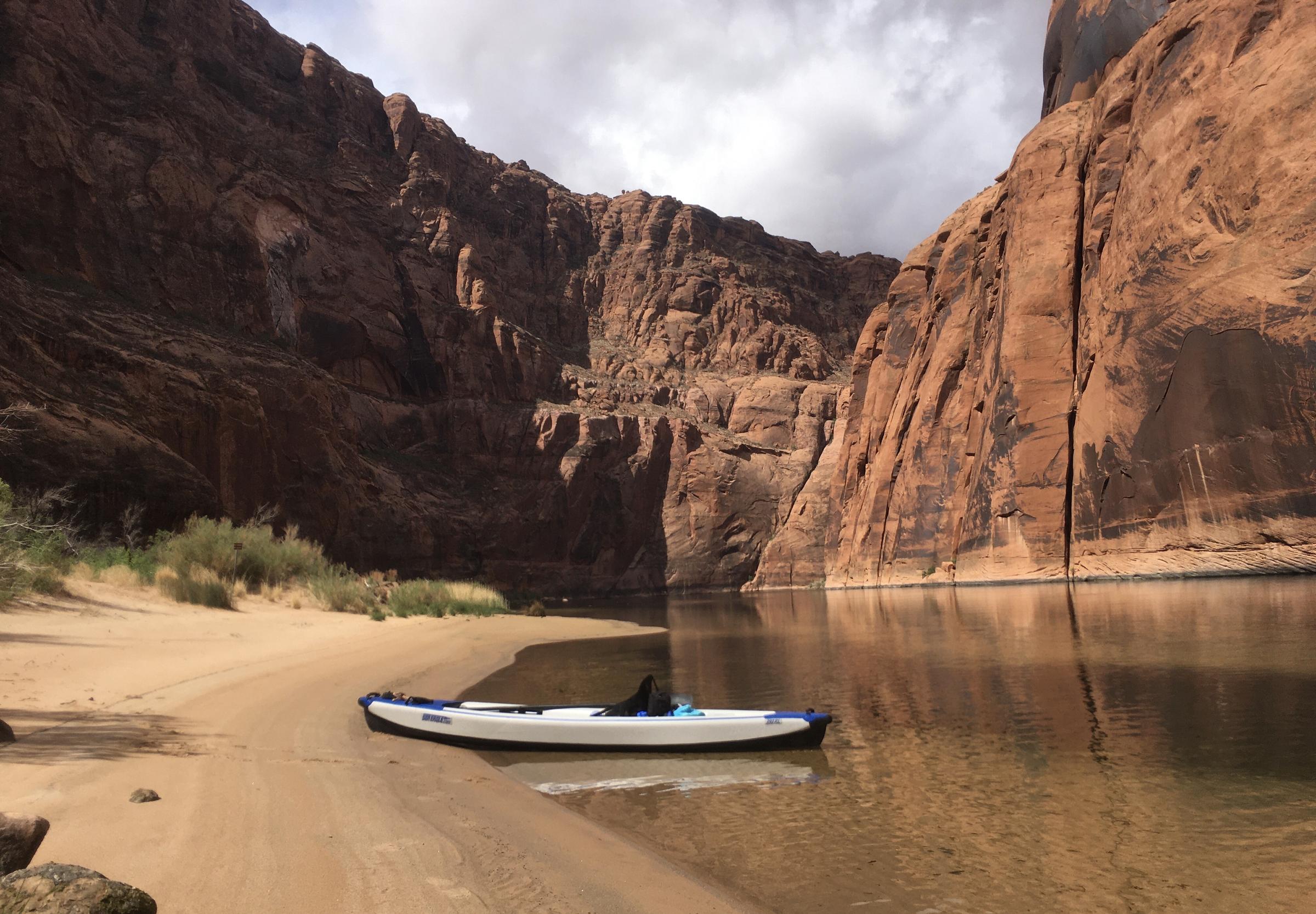 are dogs allowed at canyon lake az