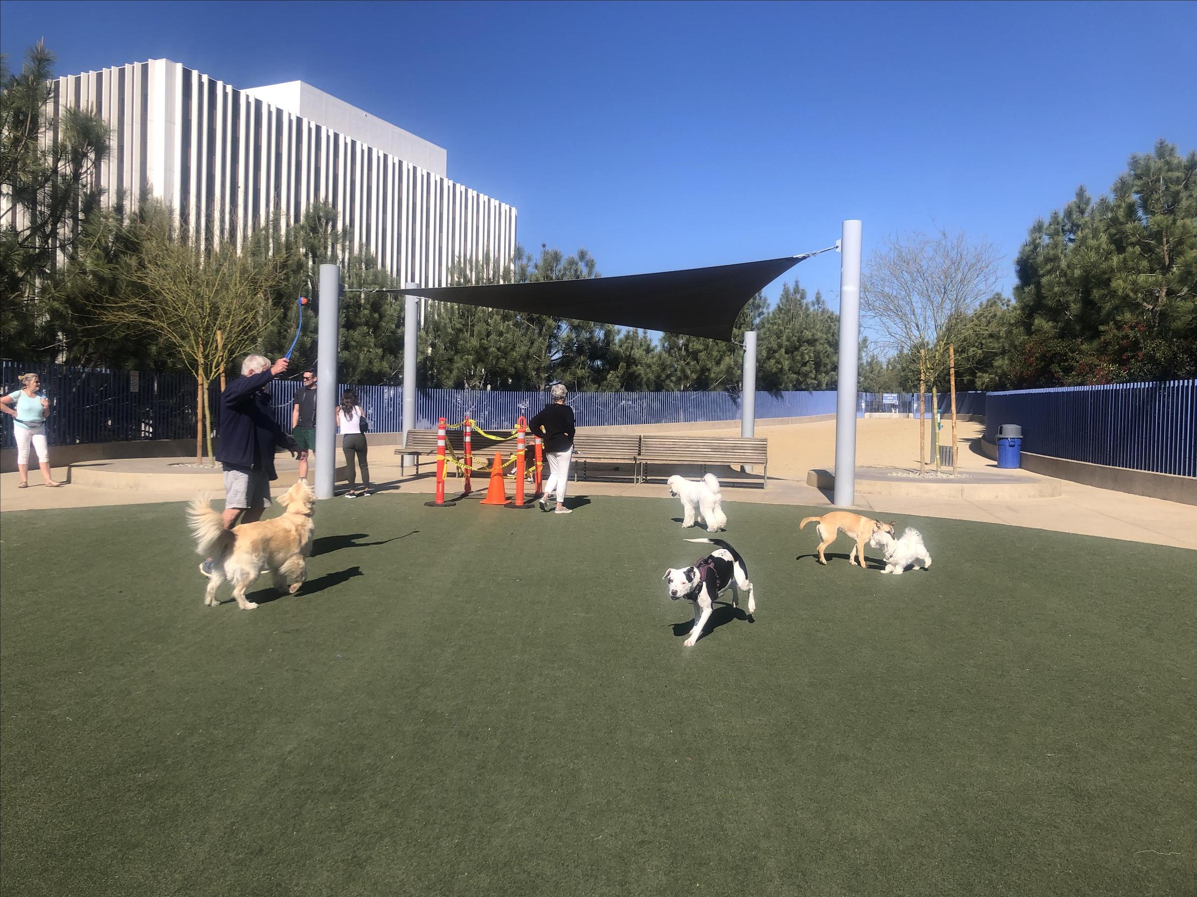 Pet Friendly Newport Beach Dog Park