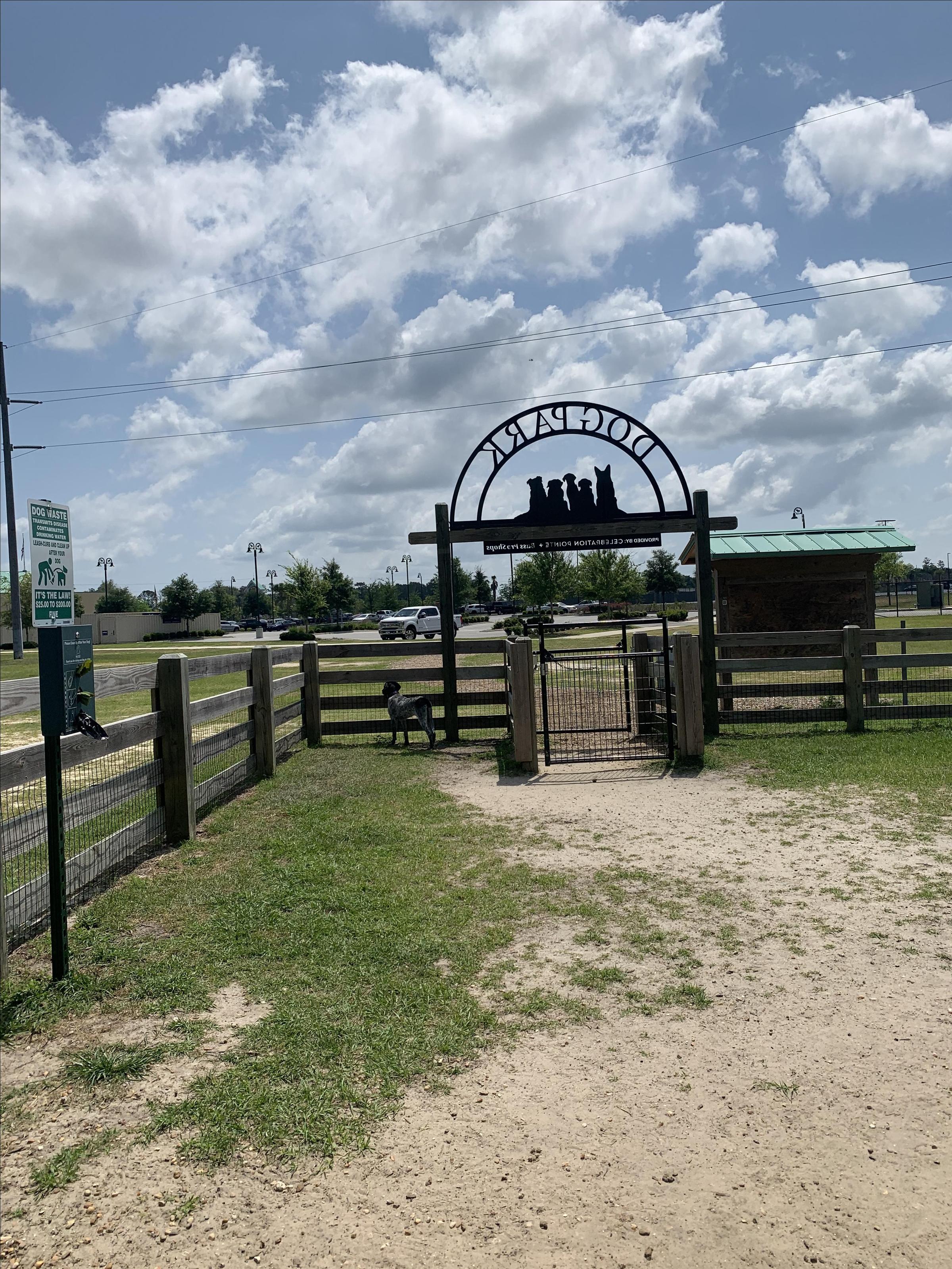 Celebration Pointe Dog Park