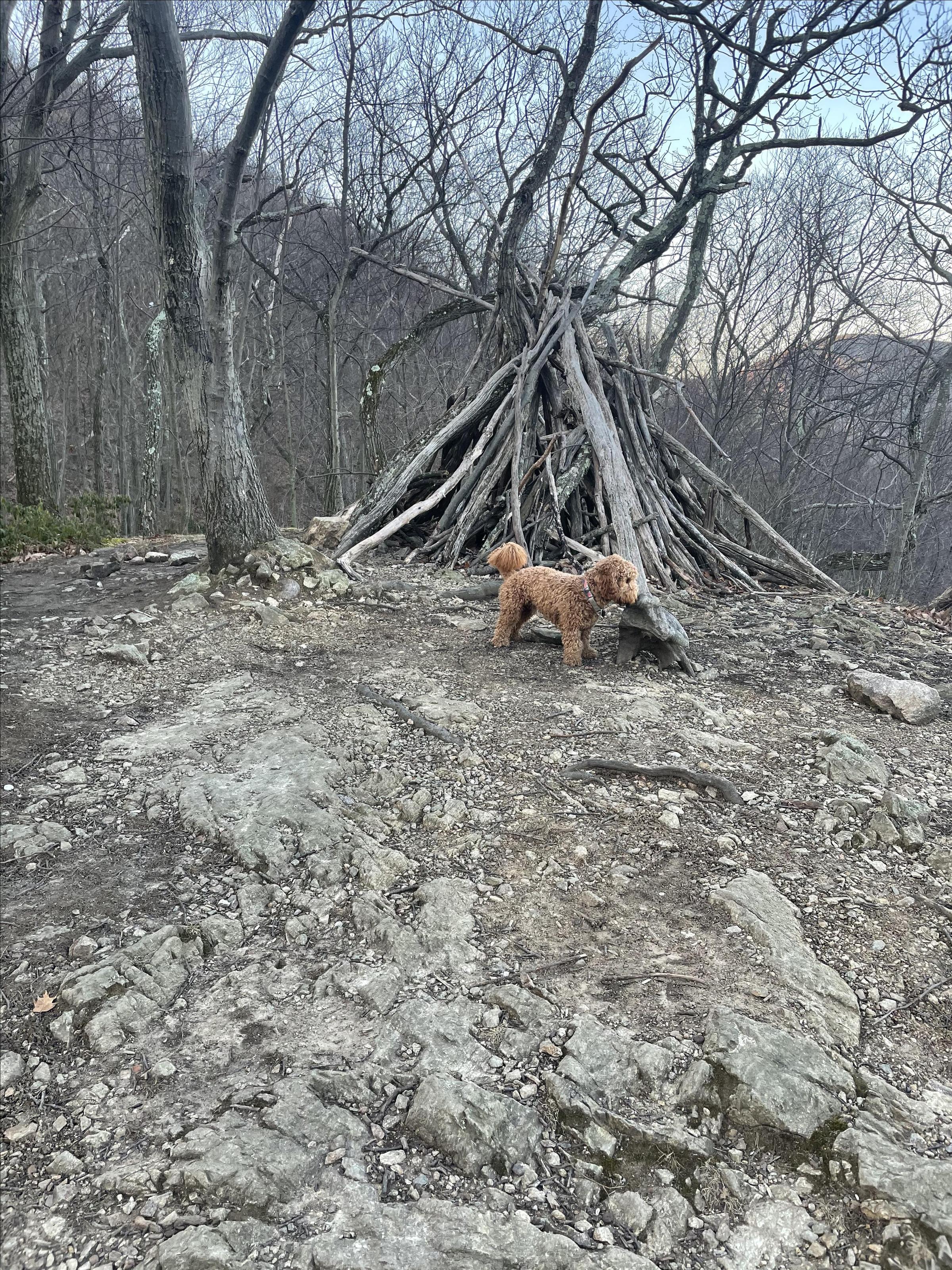 Breakneck Mountain Trailhead