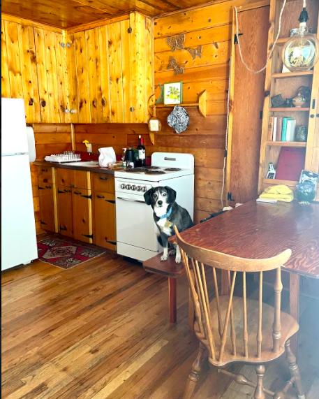Pet Friendly Flying Moon Cabins