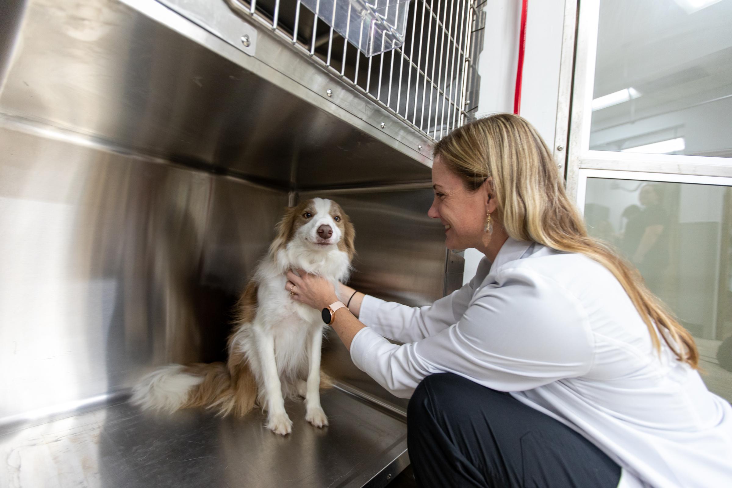 Pet Friendly Parkway Veterinary Emergency Clinic