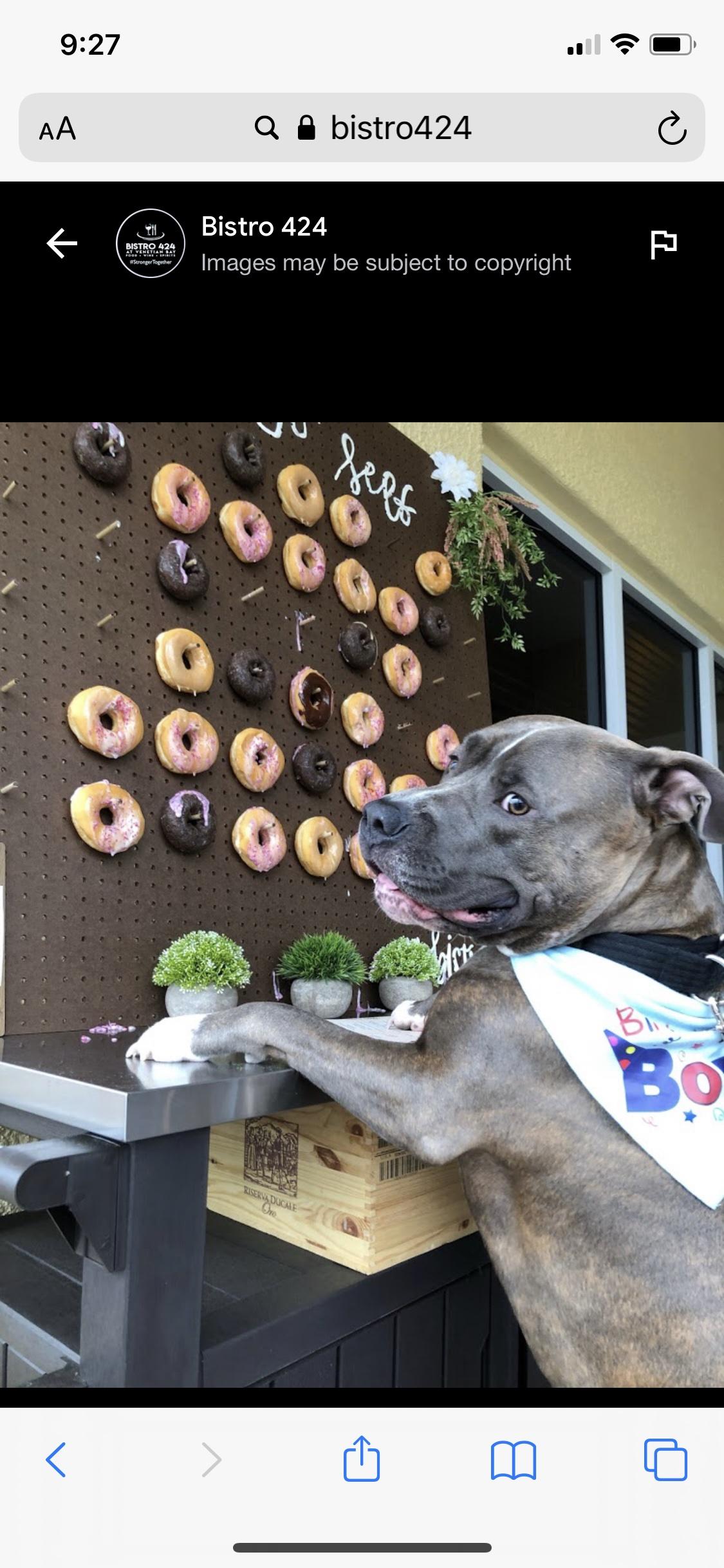 Dog Friendly Waterfront Restaurants in New Smyrna Beach, FL BringFido