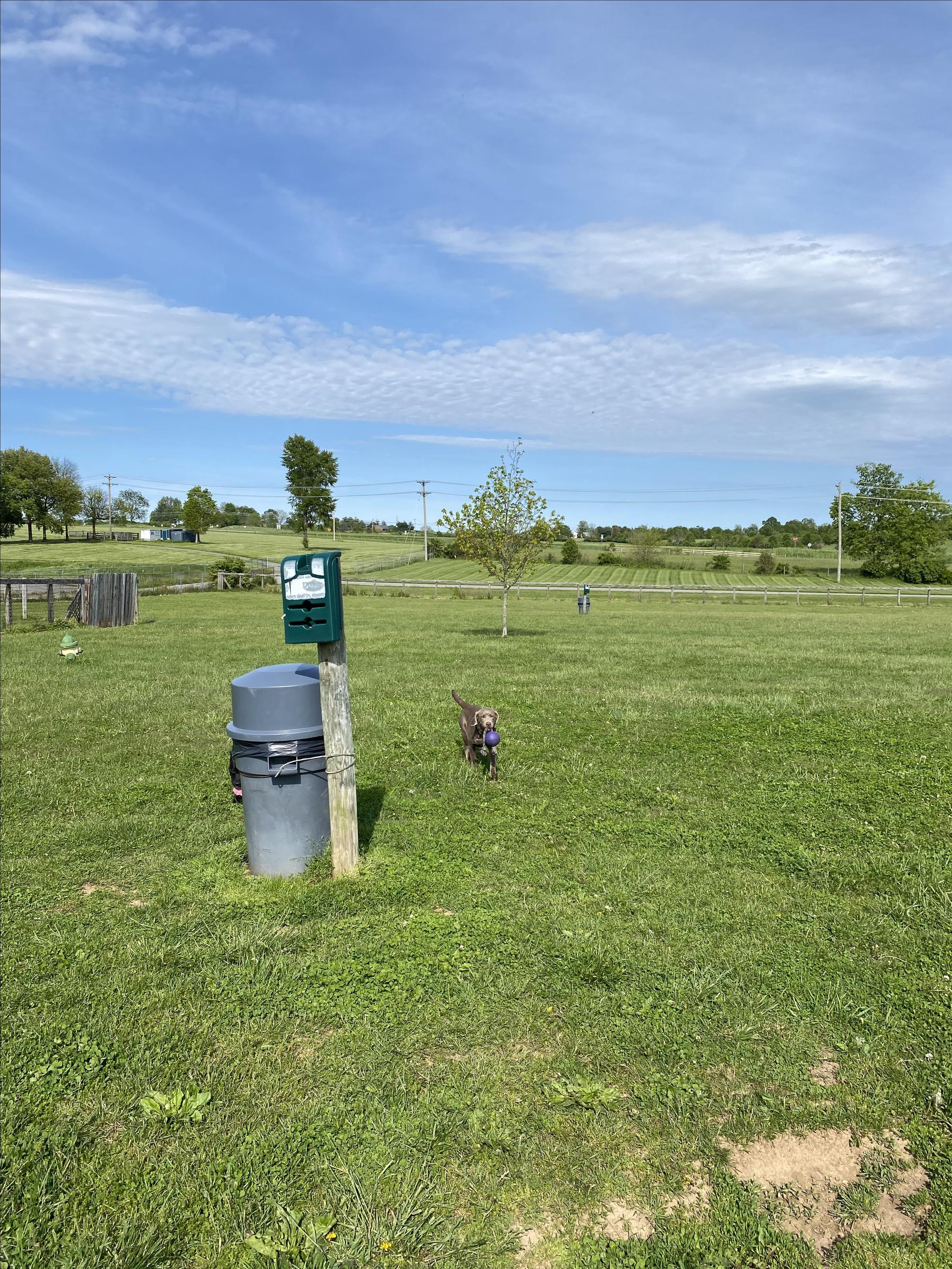 Pet Friendly Jessamine County Dog Park