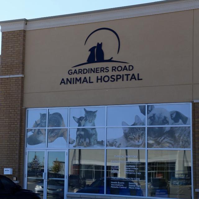 Pet Friendly Gardiners Road Animal Hospital