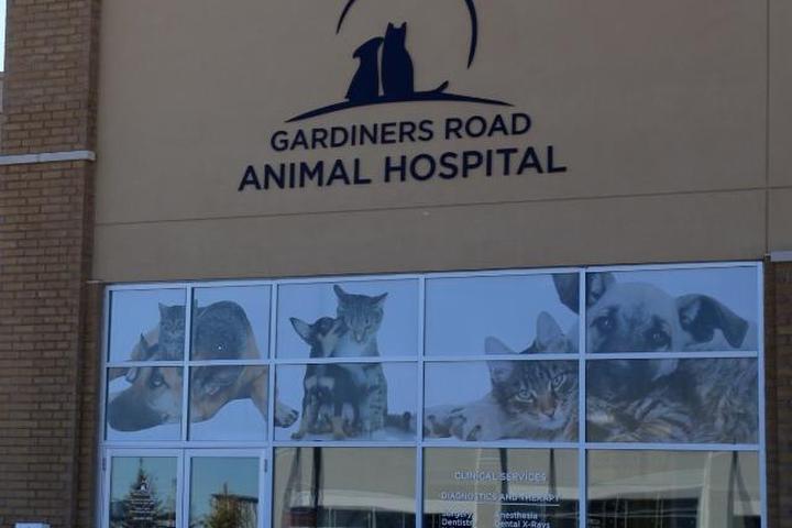Pet Friendly Gardiners Road Animal Hospital