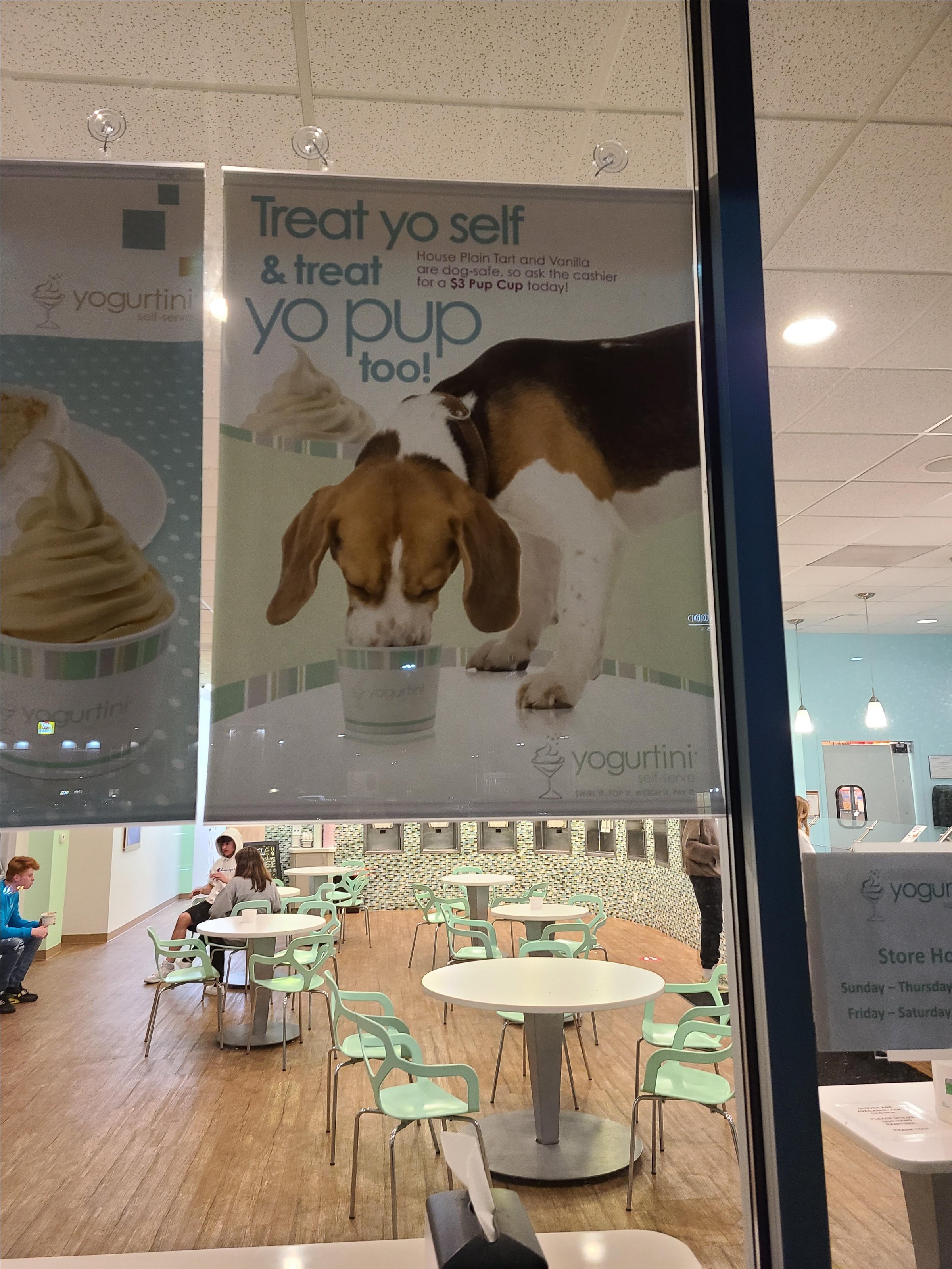 Pet Friendly Yogurtini Overland Park