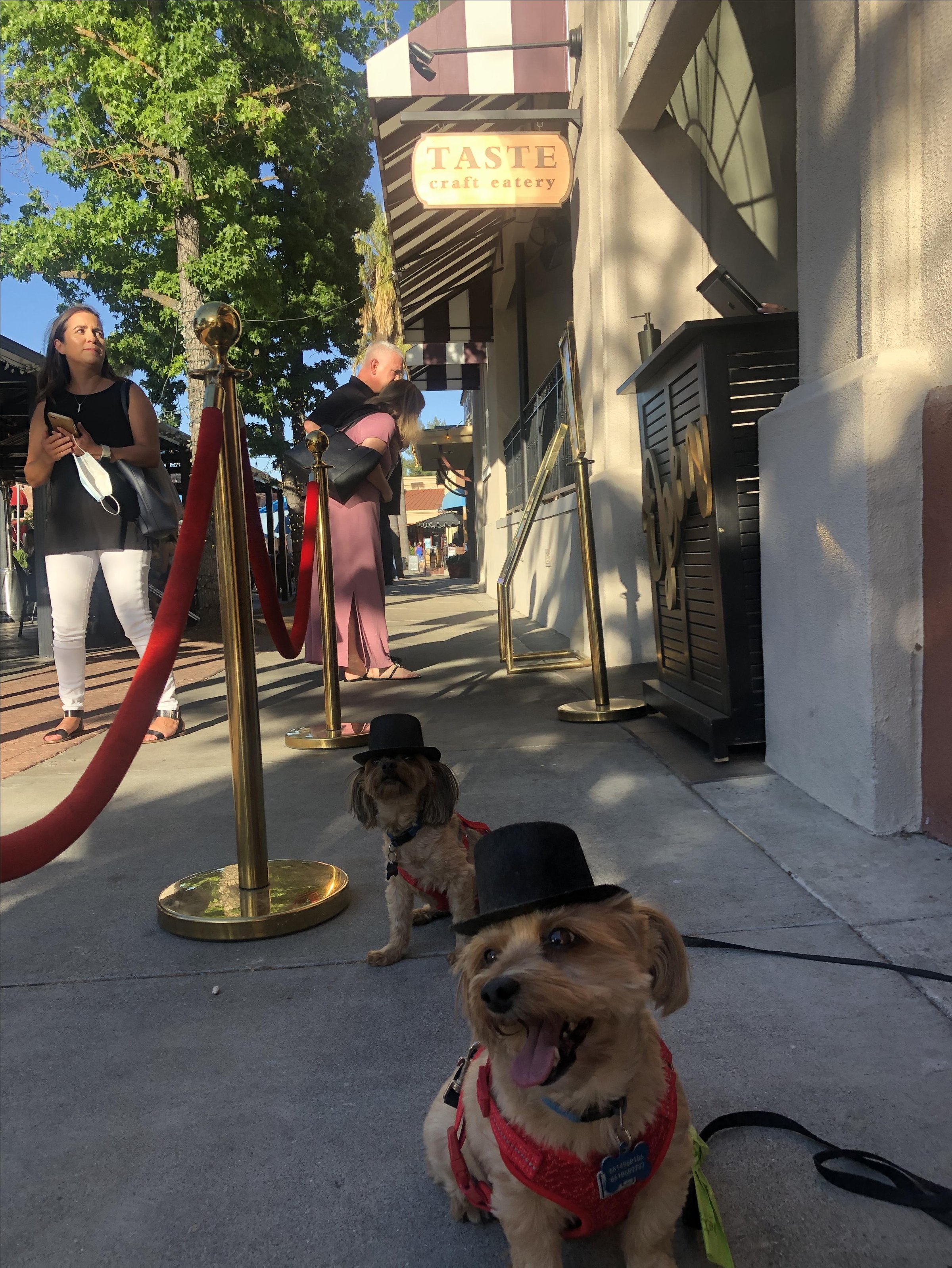 TASTE! craft eatery