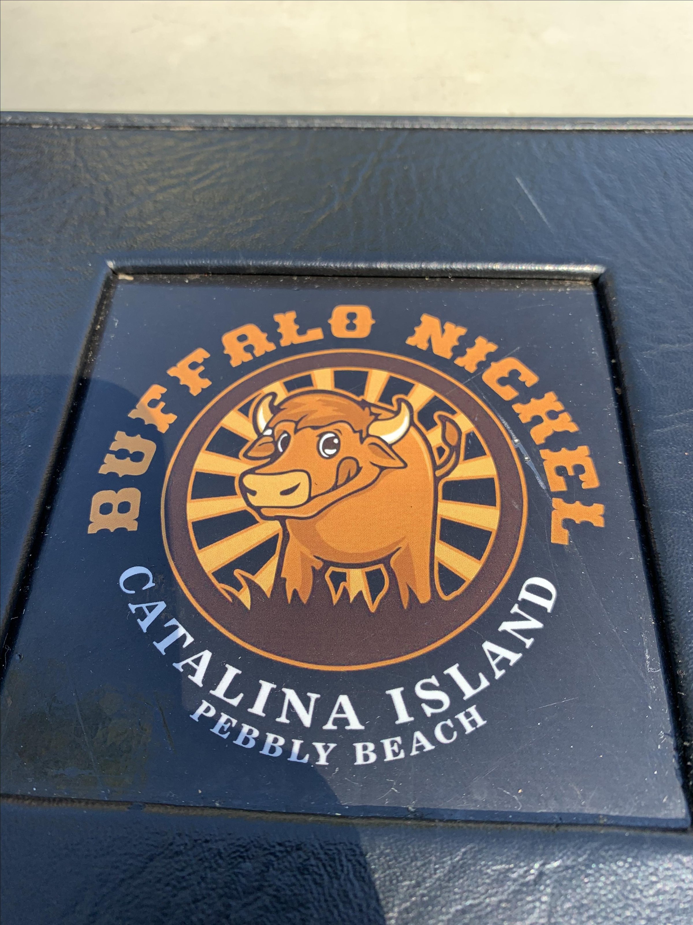 Buffalo Nickel Inc