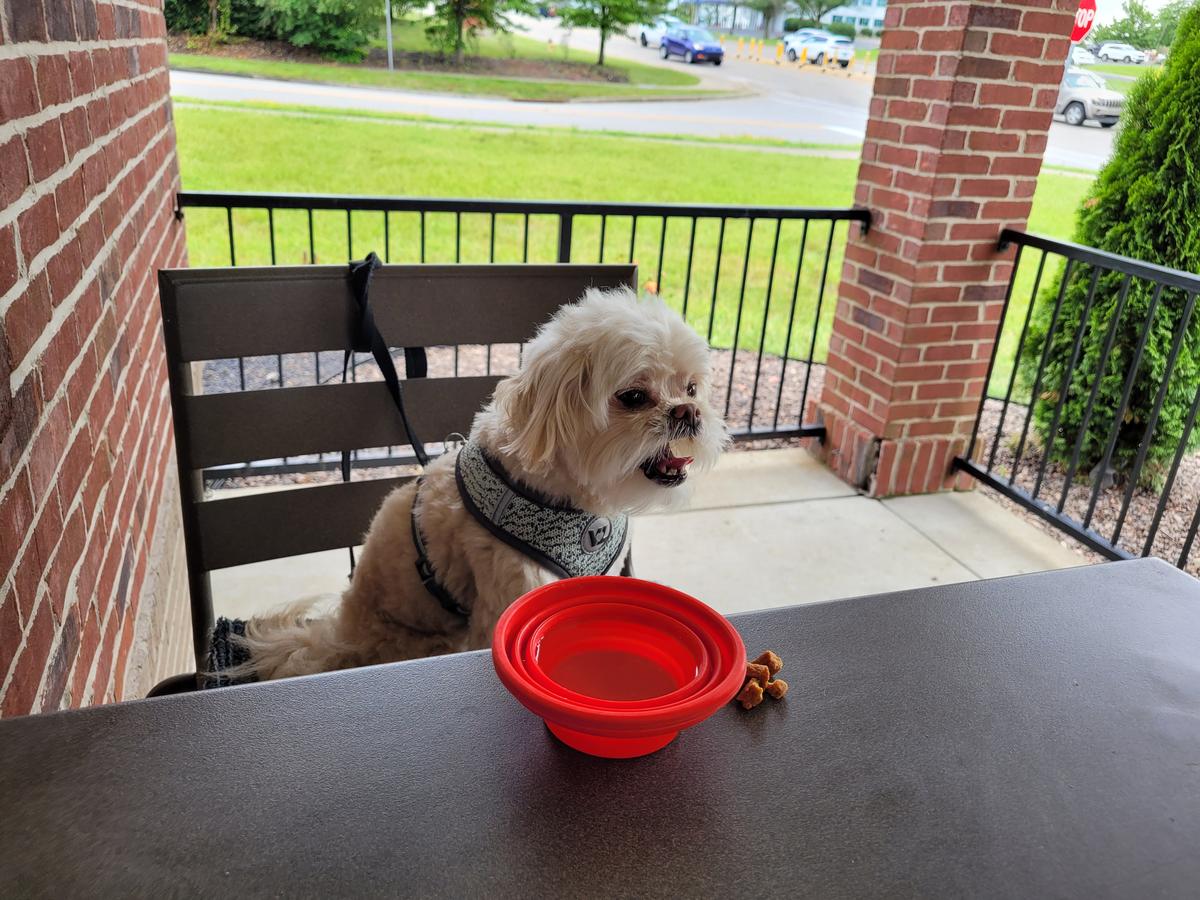 Dog Friendly Restaurants in Florence KY BringFido