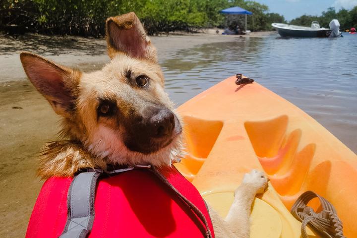 Pet Friendly Whiskey Creek Hideout