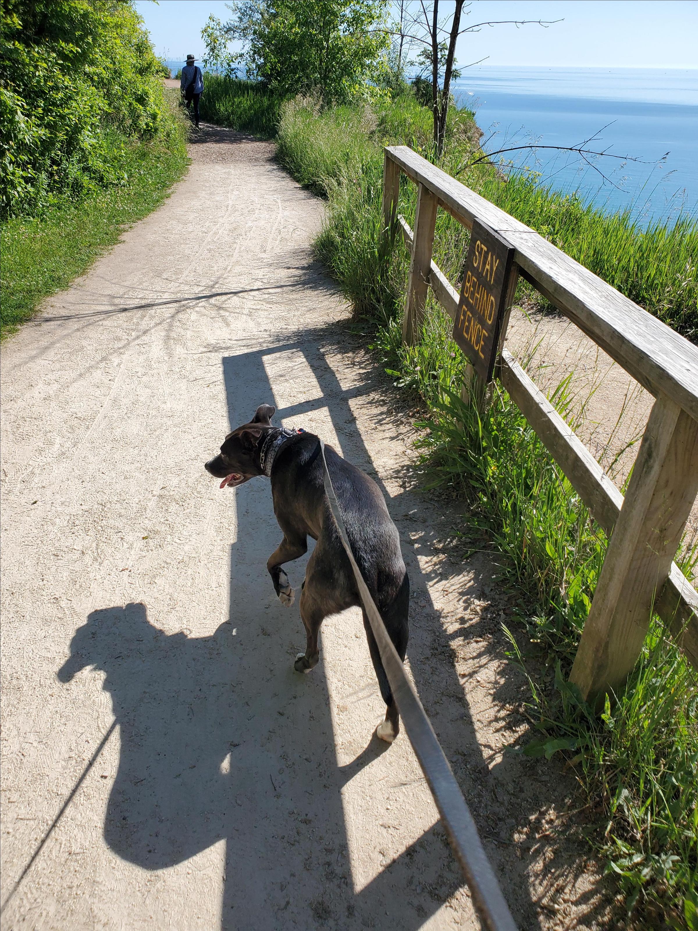 Pet Friendly Lion's Den Gorge Nature Preserve