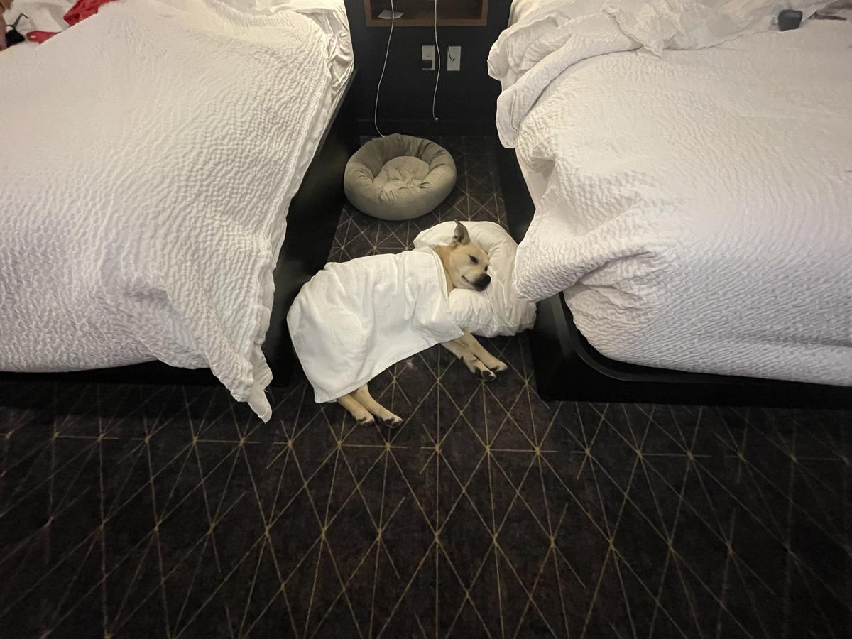 Microtel Inn & Suites by Wyndham Kelowna Pet Policy