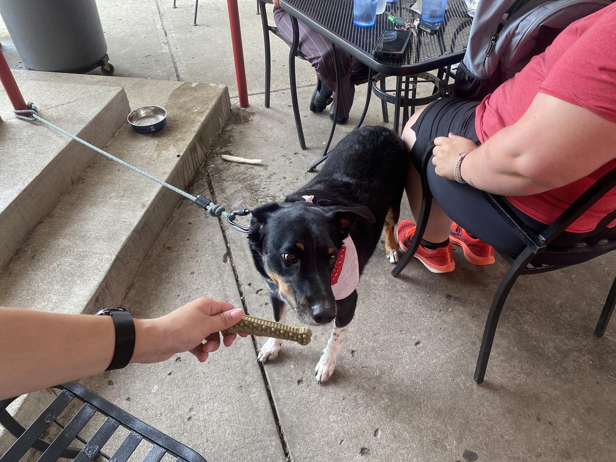 Dog Friendly Restaurants in Zanesville OH BringFido