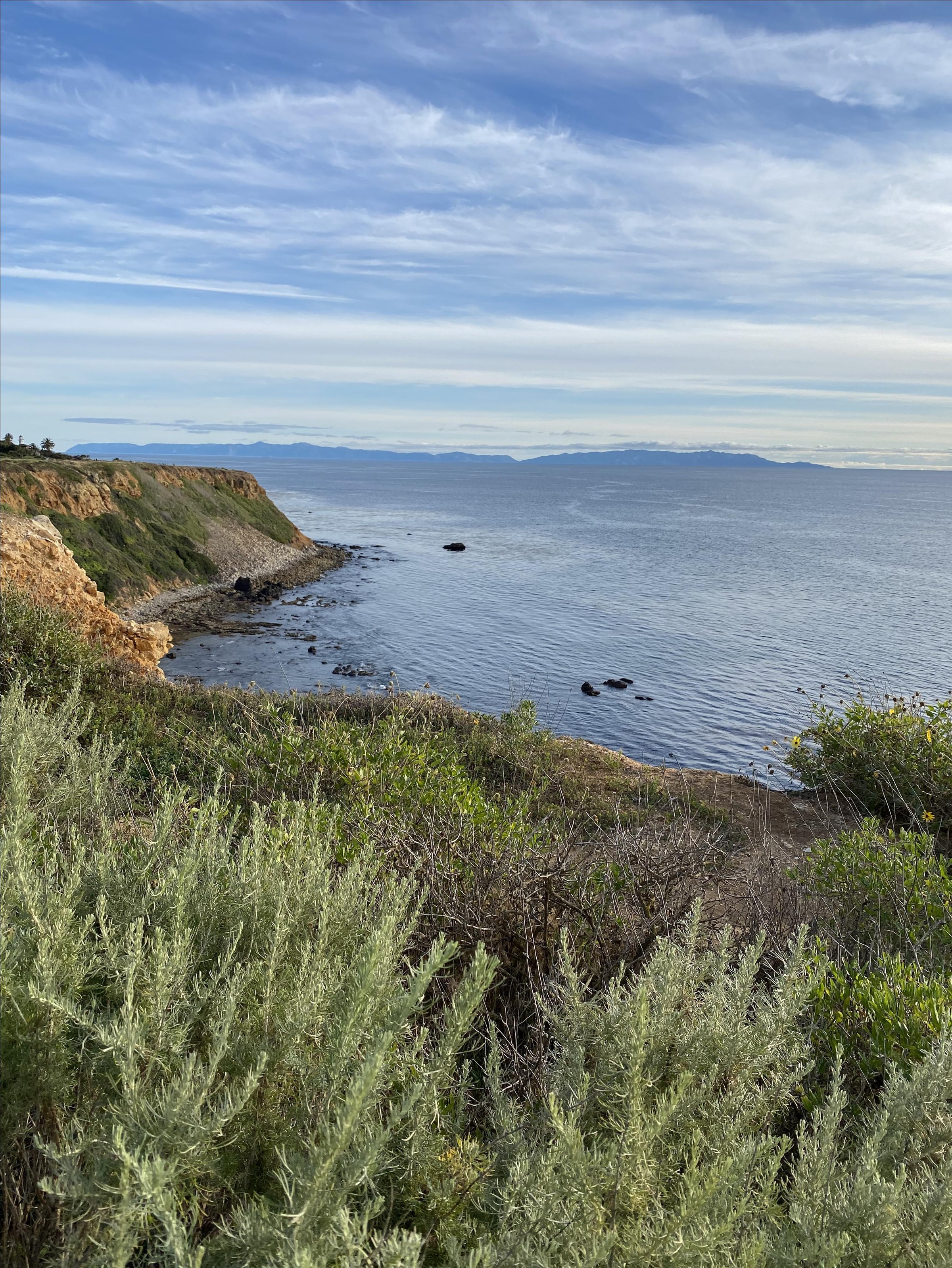 Pet Friendly Vicente Bluffs Reserve